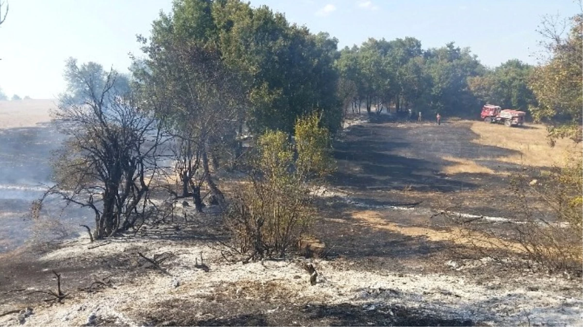 Çanakkale\'de Orman Yangını