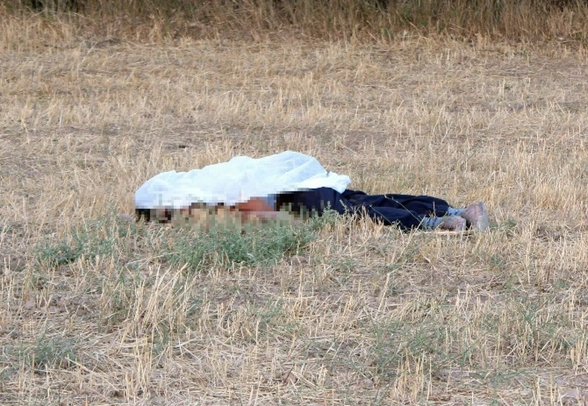 Koyunların Tarlaya Girmesine Sinirlendi, İki Kardeşi Öldürdü