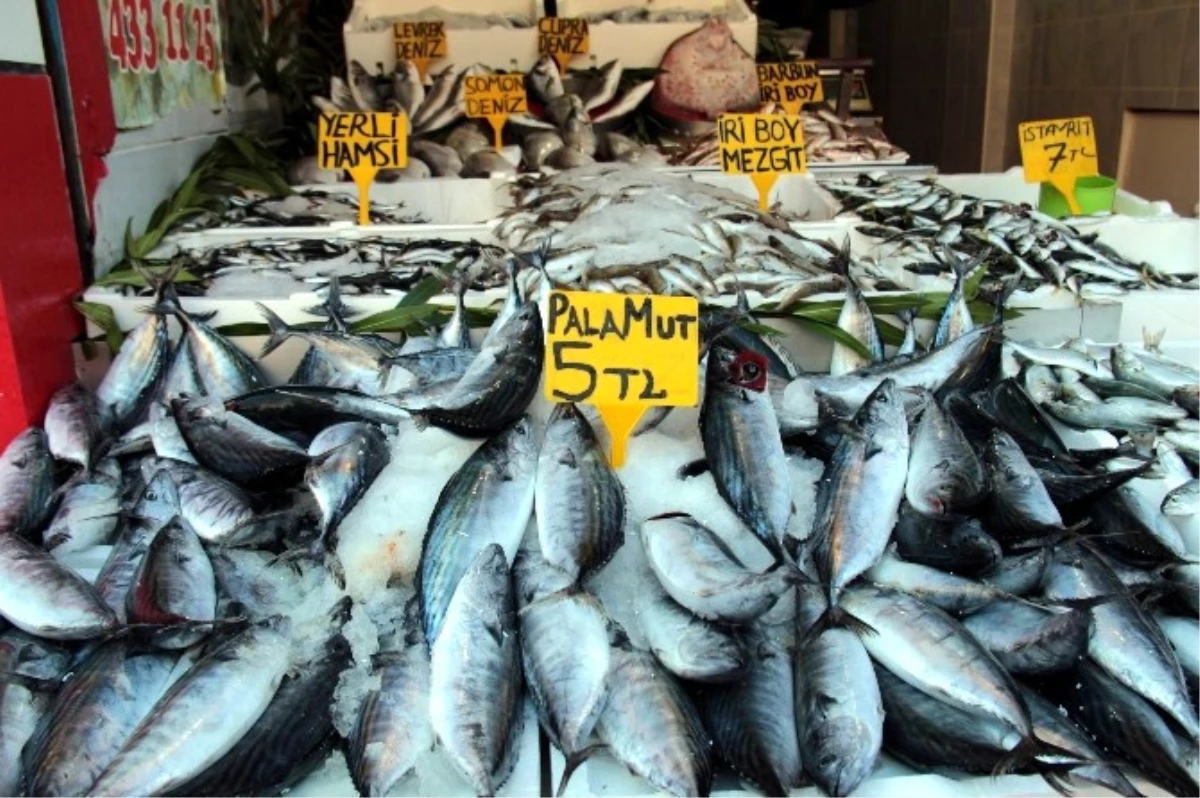 Kurban, Balık Satışlarını Etkiledi