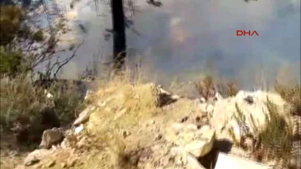 Manavgat\'ta 2 Araç Yangında Kül Oldu