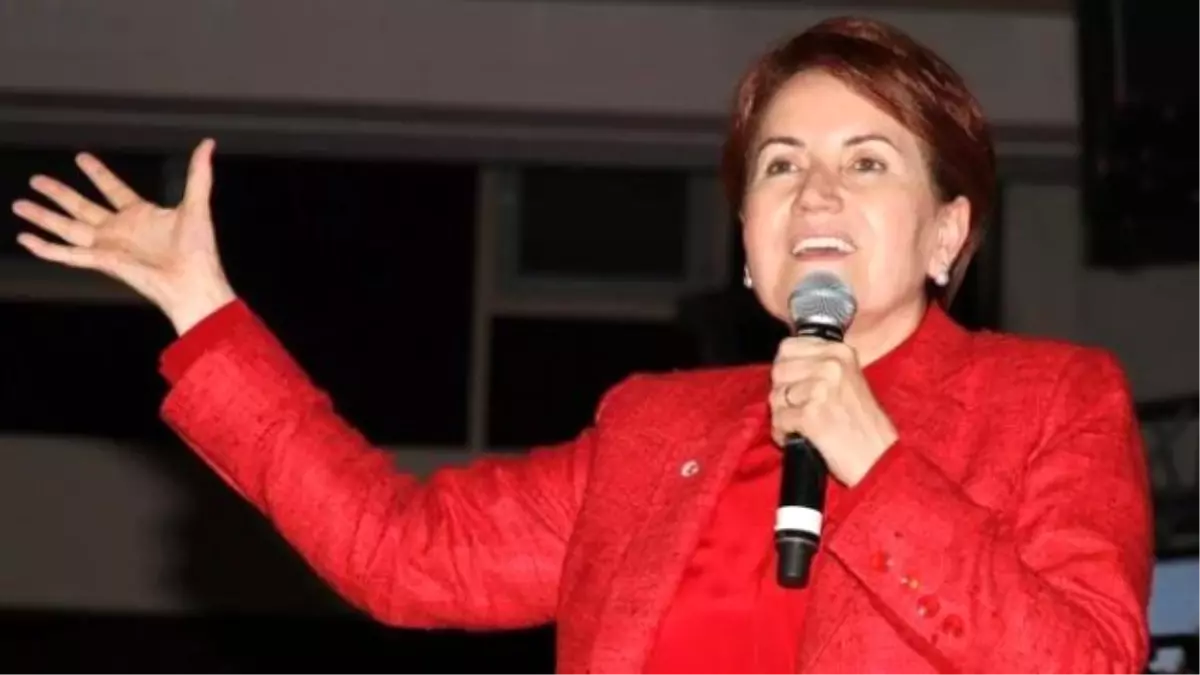 Akşener FETÖ\'den Gözaltına Alınanlara Sahip Çıktı, Erdoğan\'a Faks Gönderdi