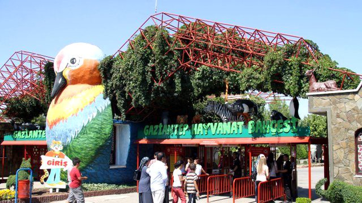 Gaziantep Hayvanat Bahçesinde Bayram Yoğunluğu