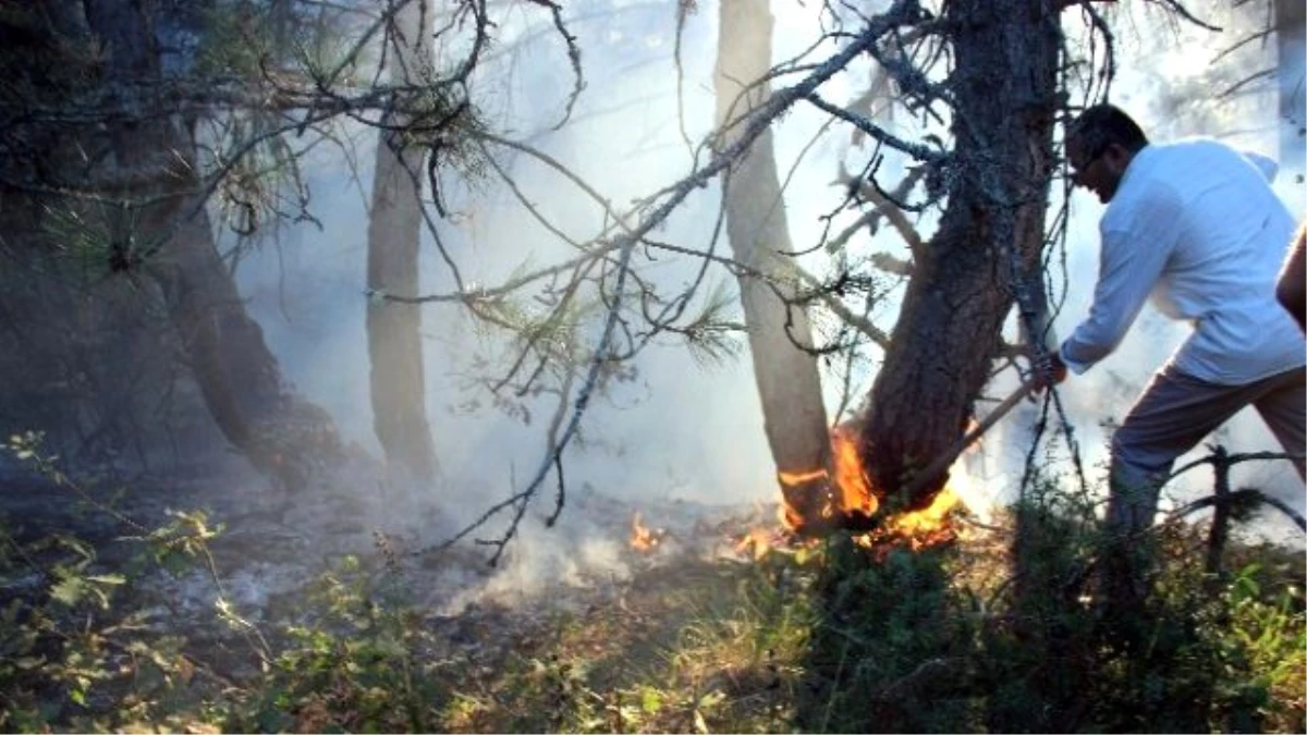 Karabük\'te Orman Yangını