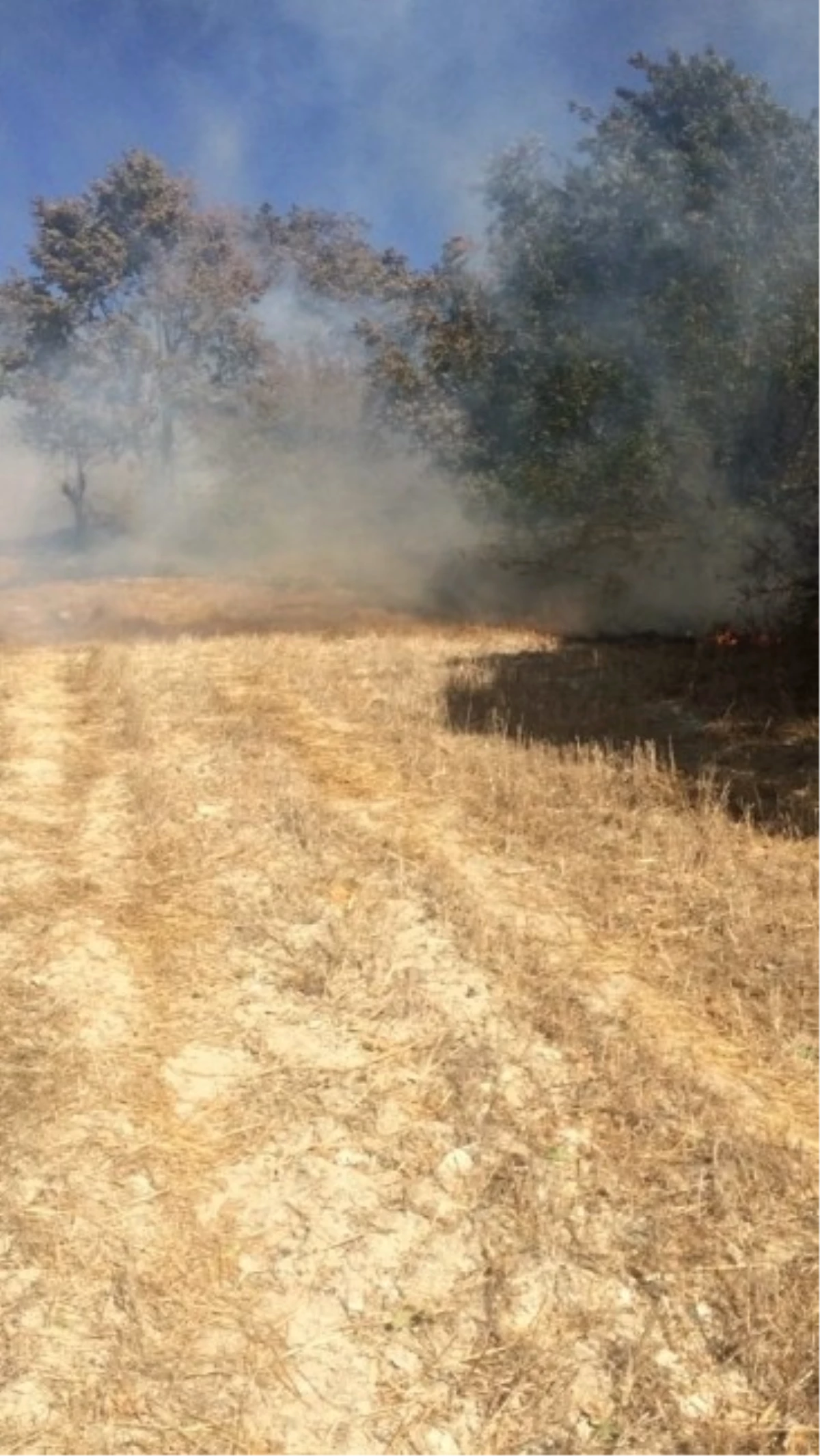 Dursunbey\'de Arazi Yangını Ormanlık Alanı Tehdit Ediyor