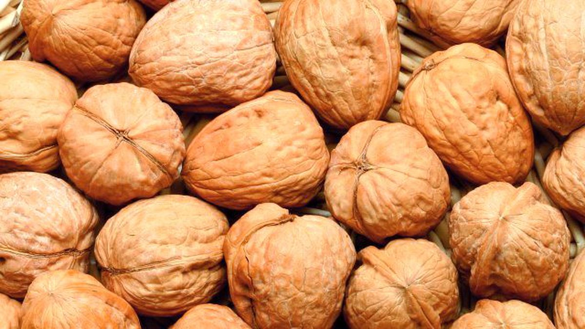 Kahramanmaraş\'ta Ceviz Hasadı Başladı