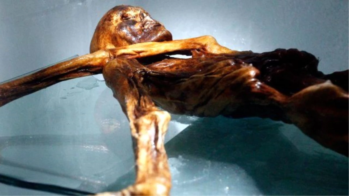 Ötzi\'nin Keşfinin 25. Yılı: Buz Adamın Sırrı