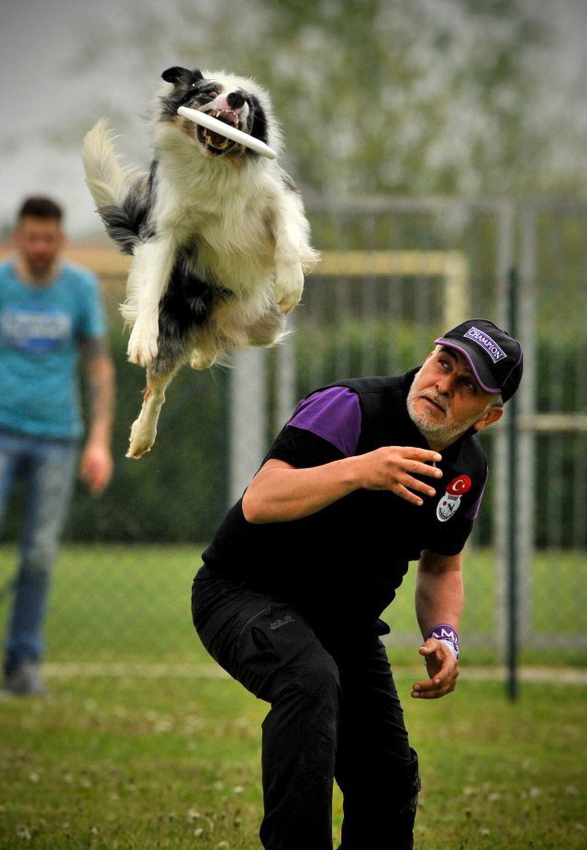 Pet Fuarı, Alman Eğitimciler Ve Showlarına Hazırlanıyor