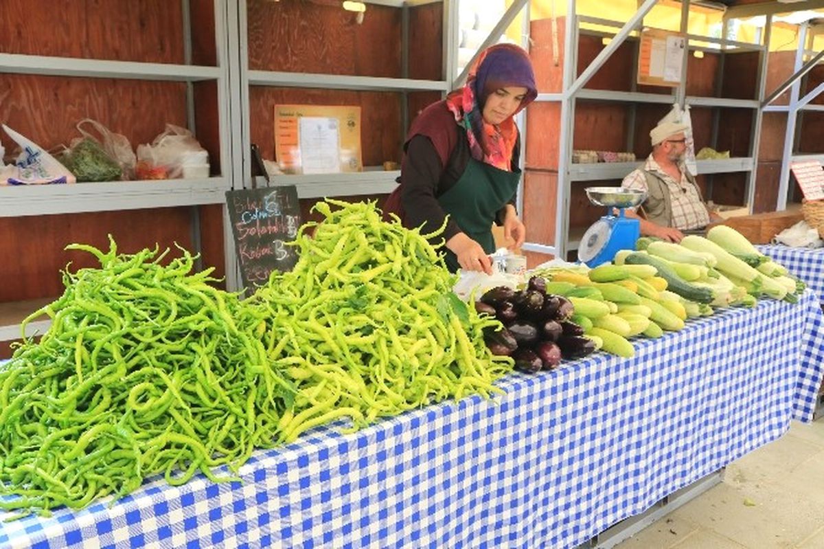 Şile, Terra Madre Salone Del Gusto\'da