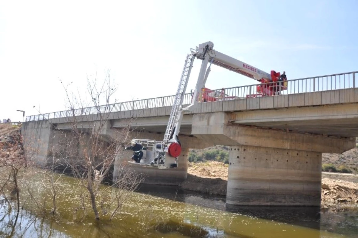 Baykuşu Kurtarmak İçin Yol Trafiğe Kapatıldı