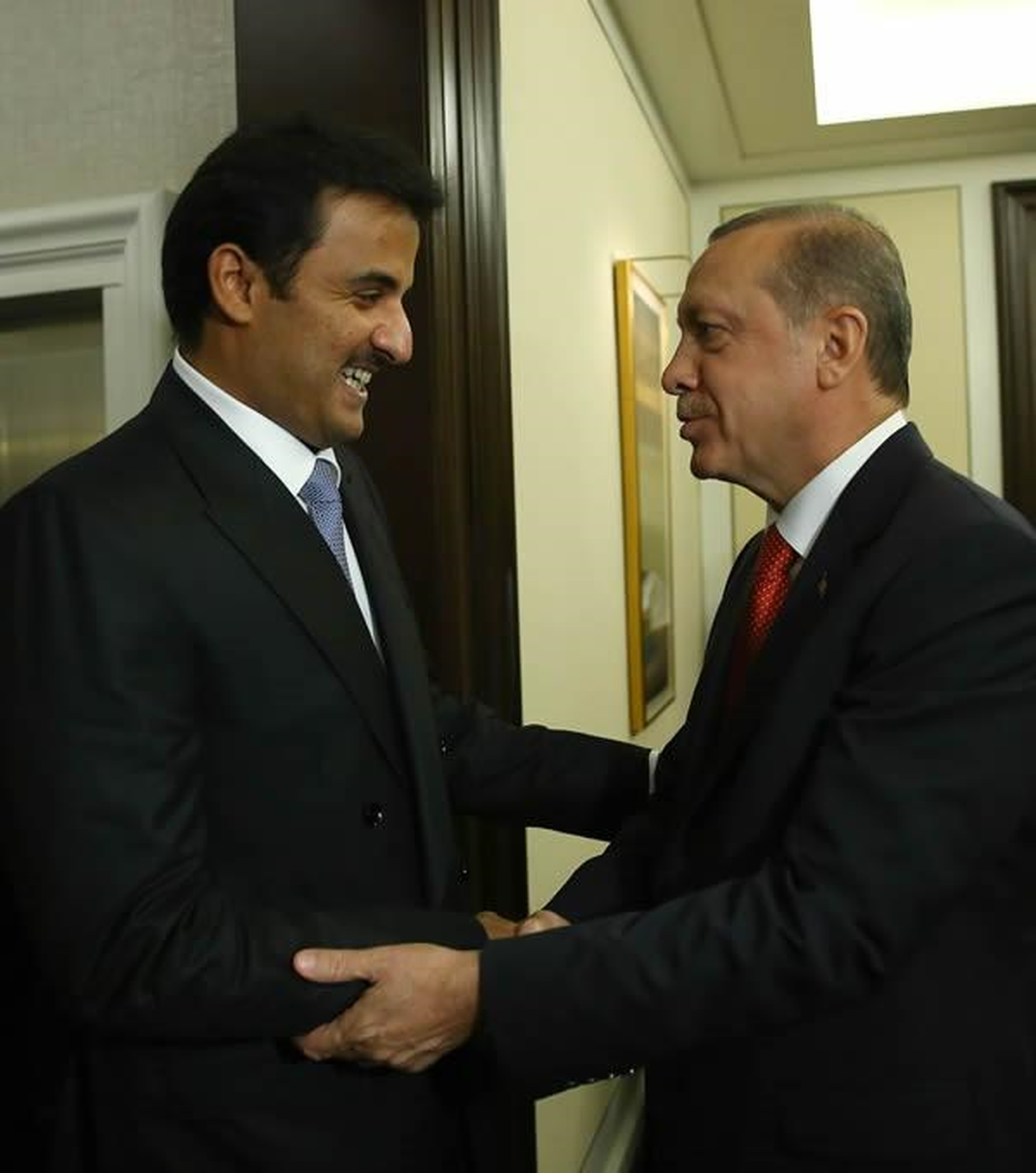 Erdoğan, Katar Emiri ile Görüştü (2) - Fotoğraflı