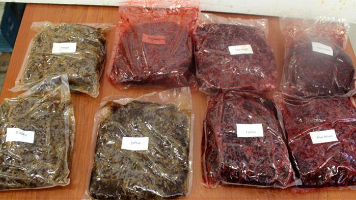 Erzurum\'da Kaçakçılık Operasyonu
