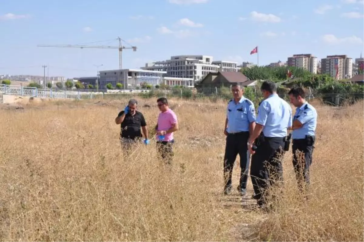 Gaziantep\'te, Boş Arazide Çürümüş Ceset Bulundu