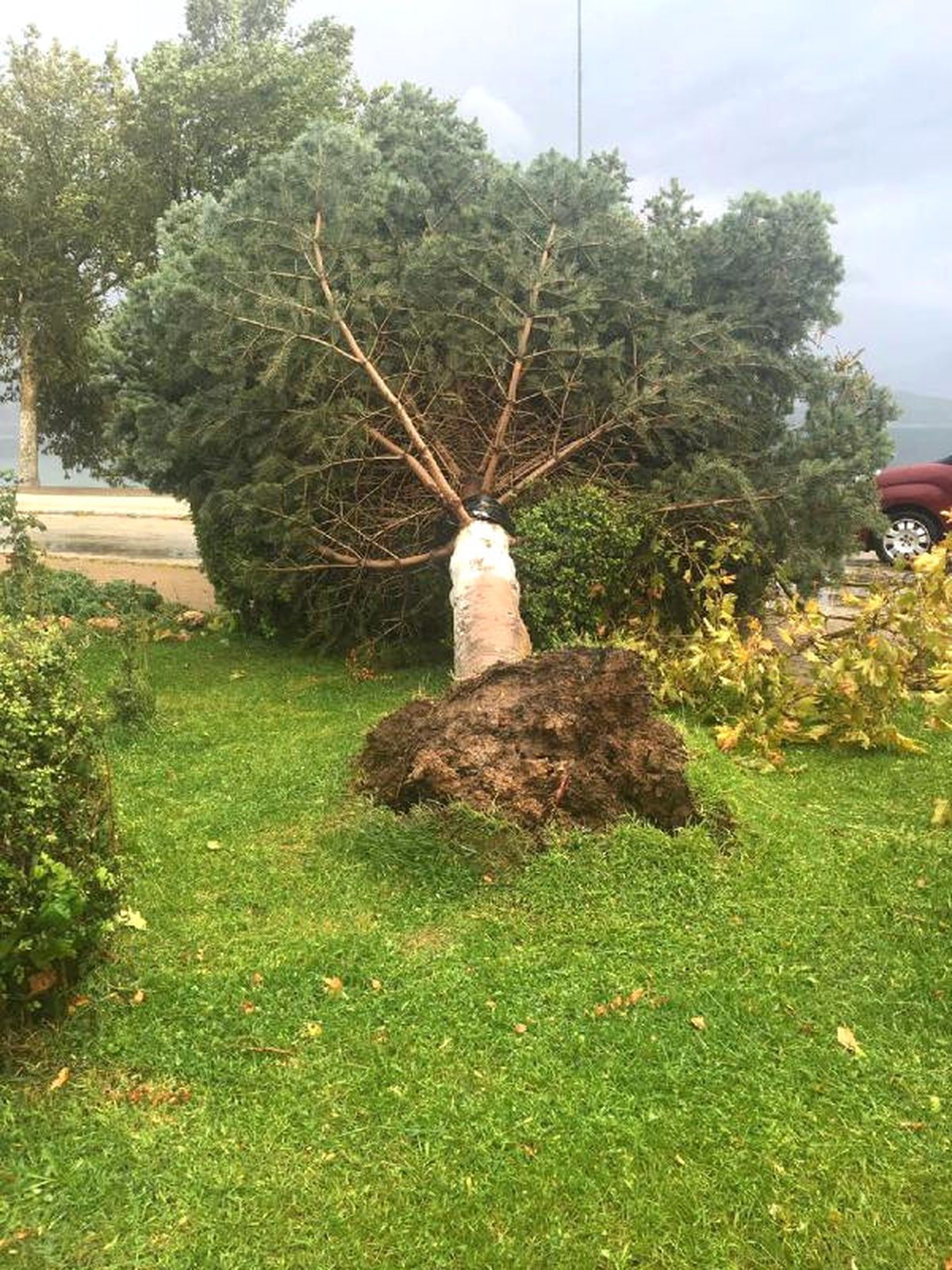 Isparta\'da Şiddetli Rüzgar Ağaçları Devirdi