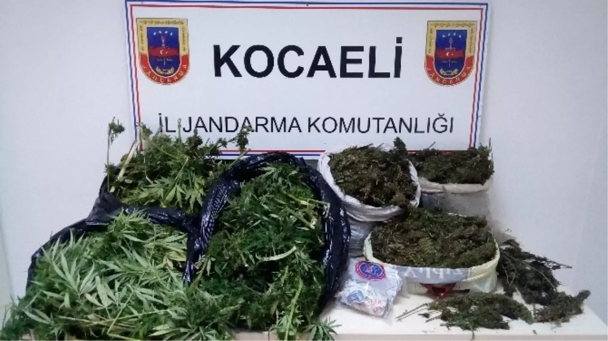 Kocaeli\'de Uyuşturucu Operasyonu