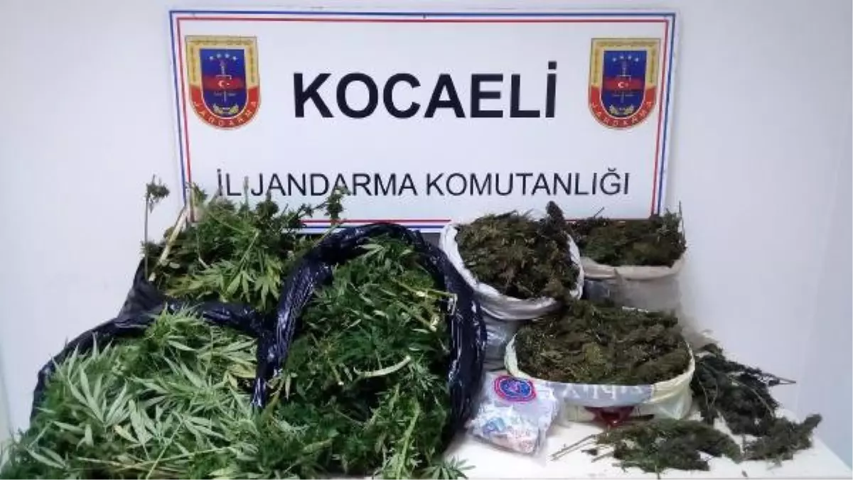 Körfez\'de 11 Kilo Esrar Ele Geçirildi