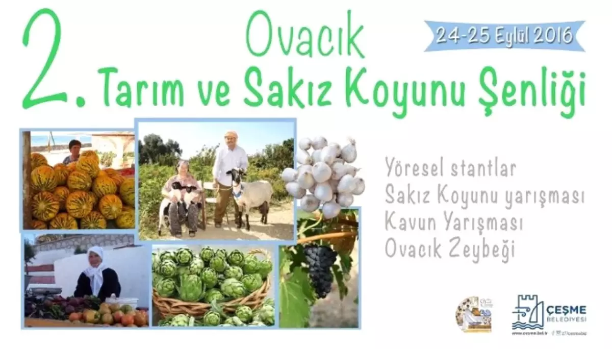 2. Ovacık Tarım ve Sakız Koyunu Şenliği Başlıyor