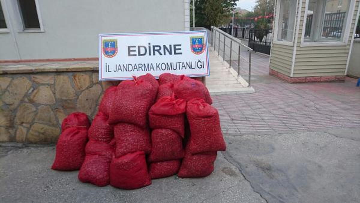 Enez\'de 600 Kilo Kaçak Midye Ele Geçirildi