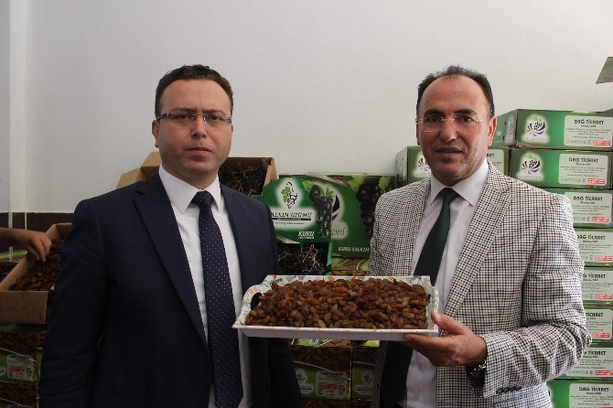 Gölbaşı İlçesi Peygamber Üzümü Yetiştiriciliğinde Türkiye Birincisi