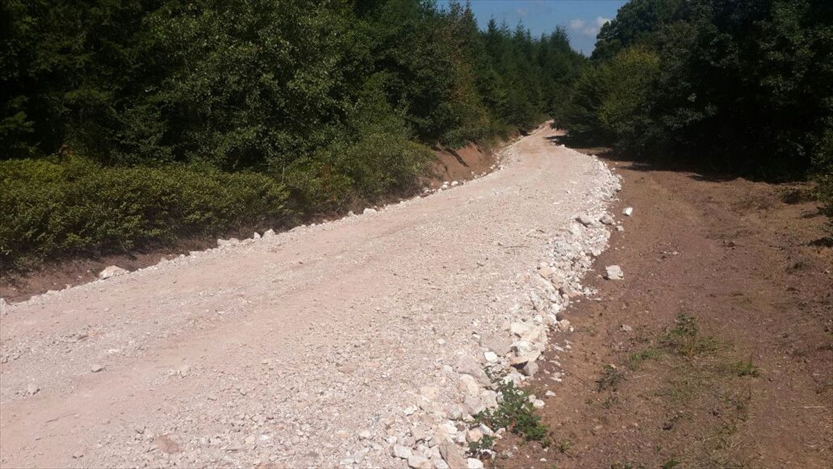 Sakarya\'ya "Orman Yolları" Yapılıyor