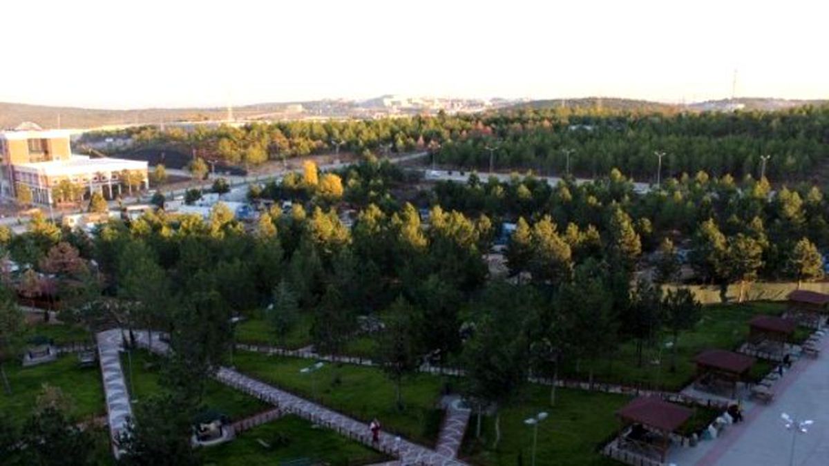 Şeyh Edebali Üniversitesi\'nde Ağaçların Kesildiği İddiası