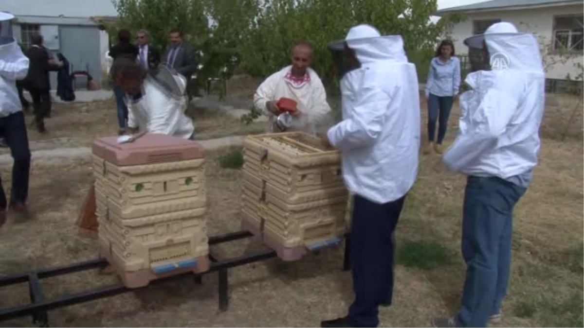 Üniversiteli Arıcılar" İlk Ballarını Hasat Etti