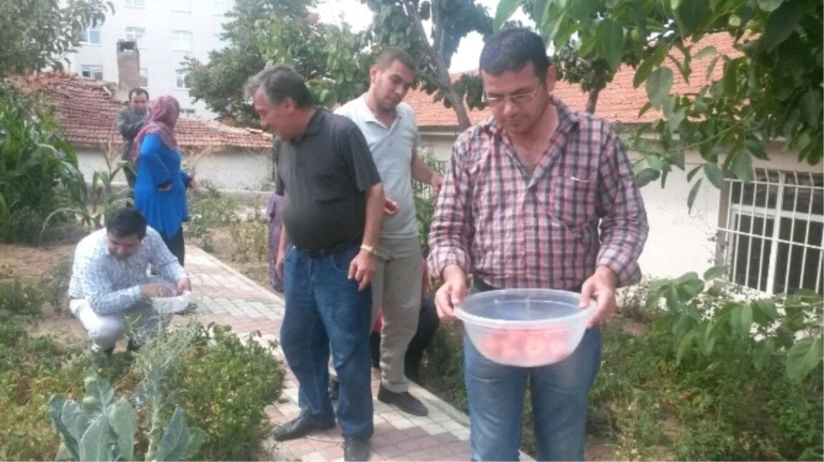 Yozgat Toplum Sağlı Merkezinde Hastalar Yetiştirdikleri Sebzeleri Topladı