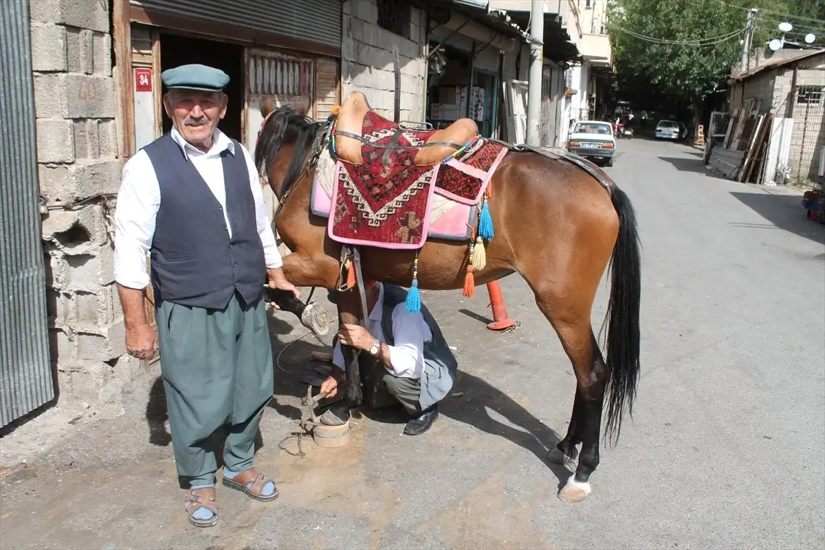 Adıyaman\'da Atlara "Kışlık Nal"