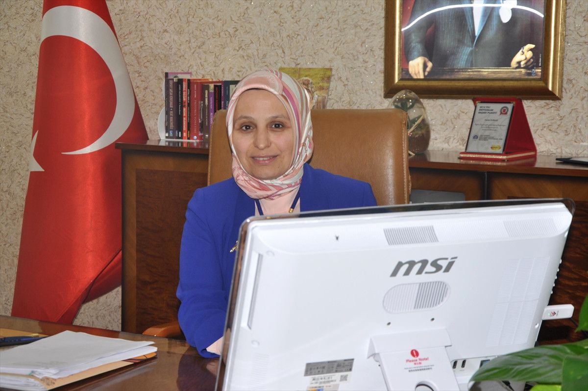Fetö\'nün Darbe Girişimine Yönelik Soruşturma