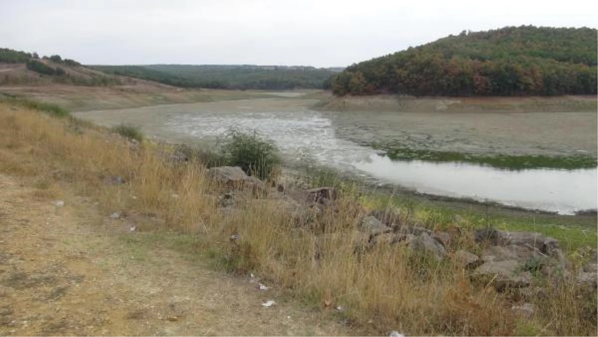 Gölet Kurudu, Binlerce Balık Telef Oldu