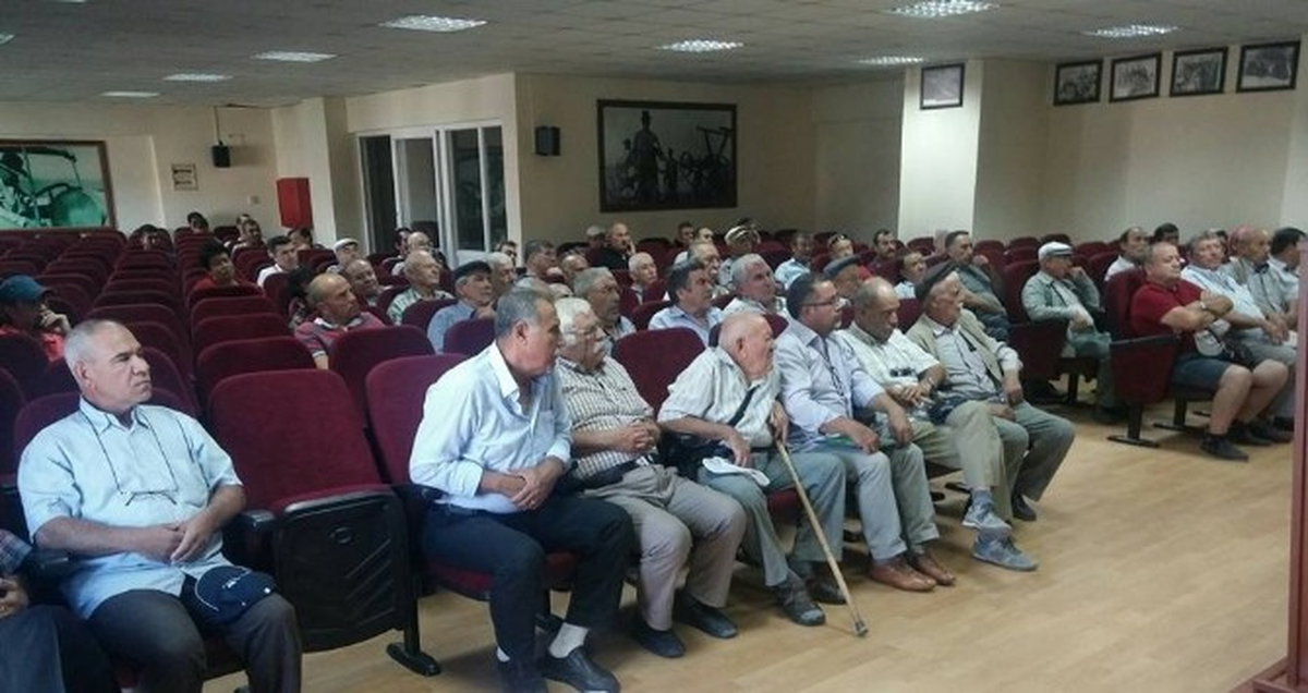 Söke\'de Zeytin Gençleştirme Desteklemeleri Çiftçiye Anlatıldı