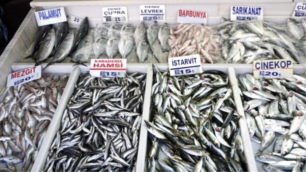 Tekirdağ\'da Balık Fiyatları