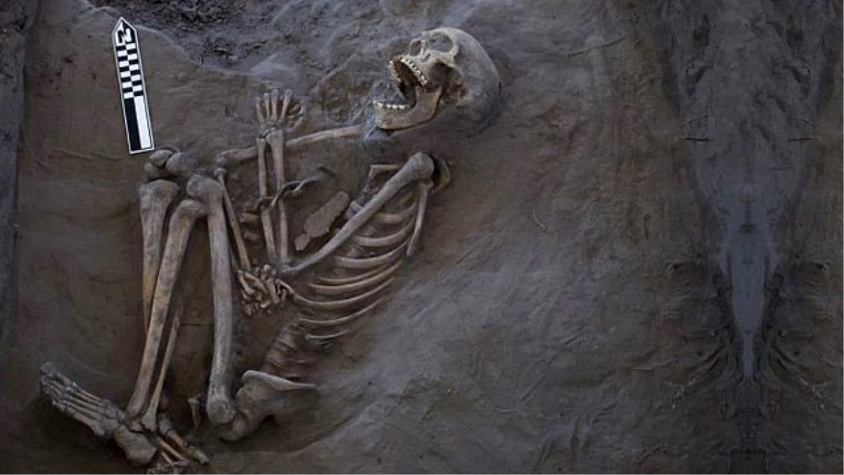 800 Yıllık İskeletin Ölüm Sebebi Ortaya Çıktı