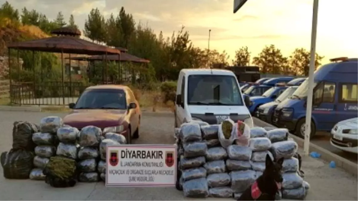 Diyarbakır\'da 345 Kilogram Esrar Ele Geçirildi