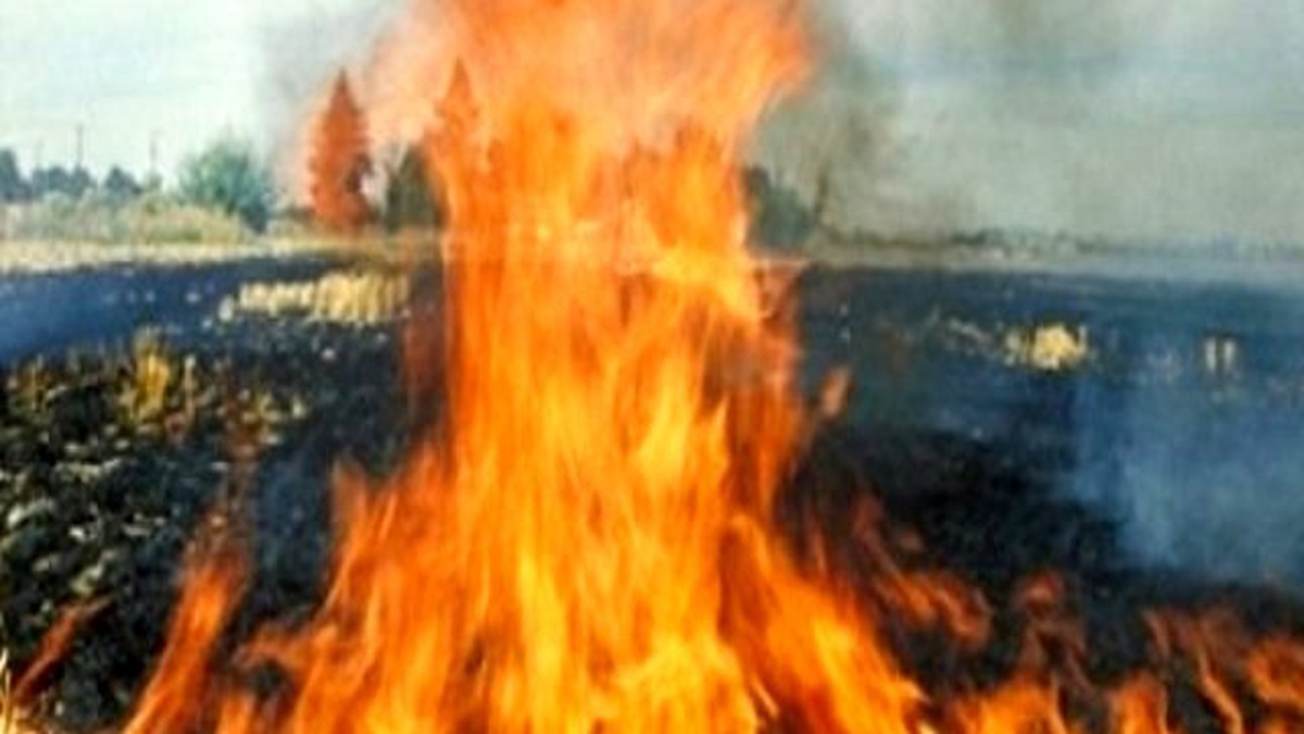Diyarbakır Valiliği\'nden Anız Yakma Uyarısı