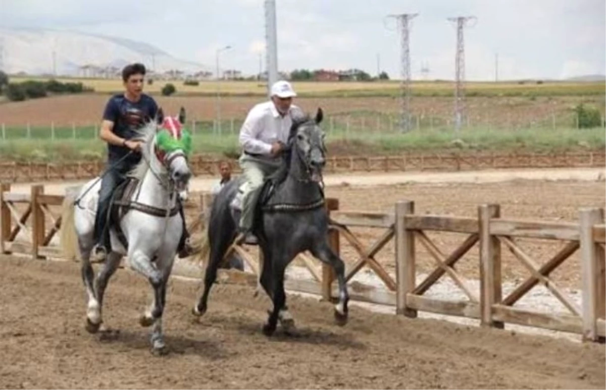 Geleneksel Rahvan At Yarışları Erzurum\'da Yapılacak