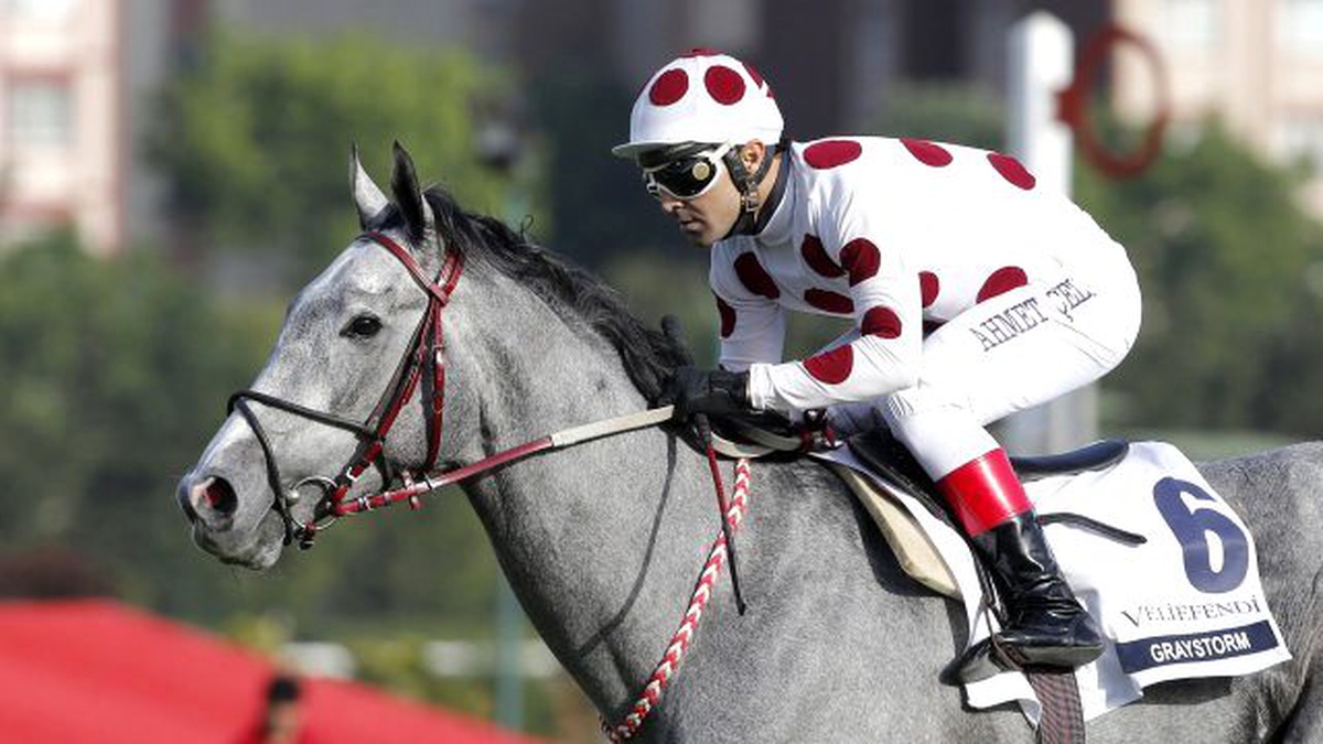 Graystorm" İsimli At, Üçlü Taç İçin Koşacak