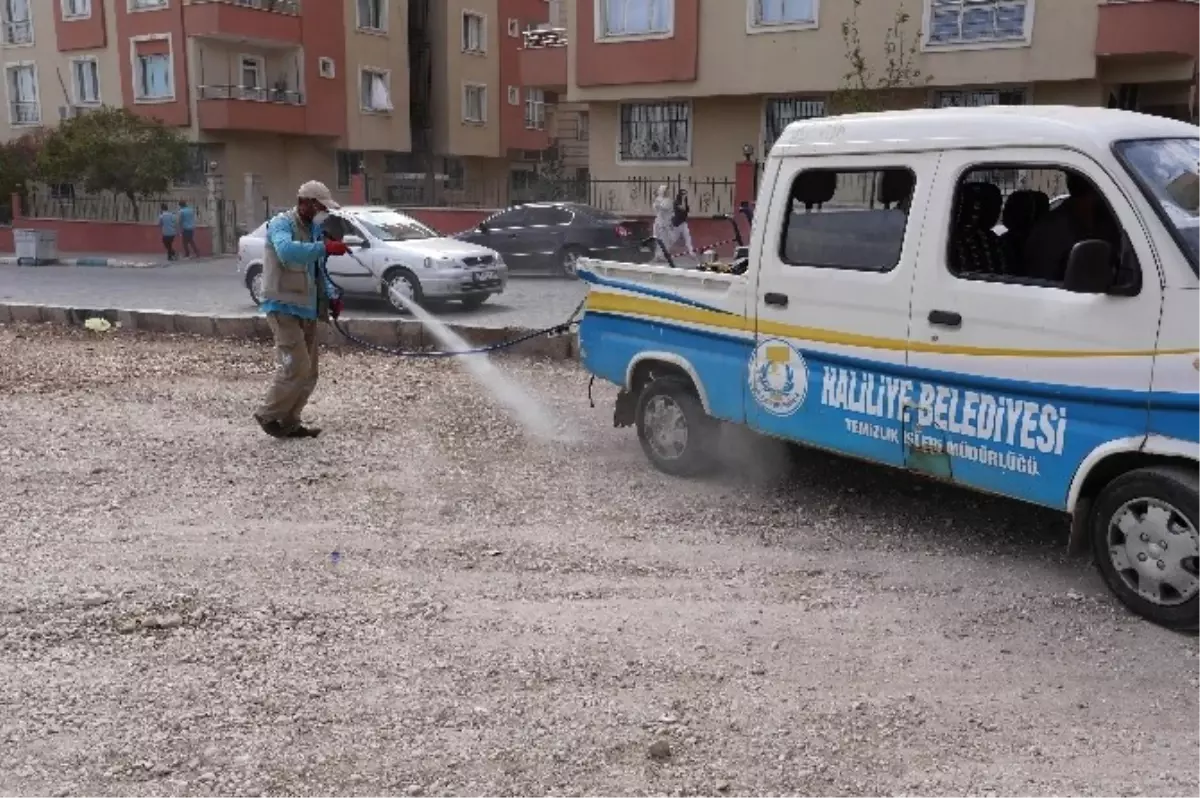 Haliliye Belediyesi\'nden Kapsamlı İlaçlama ve Temizlik Çalışması