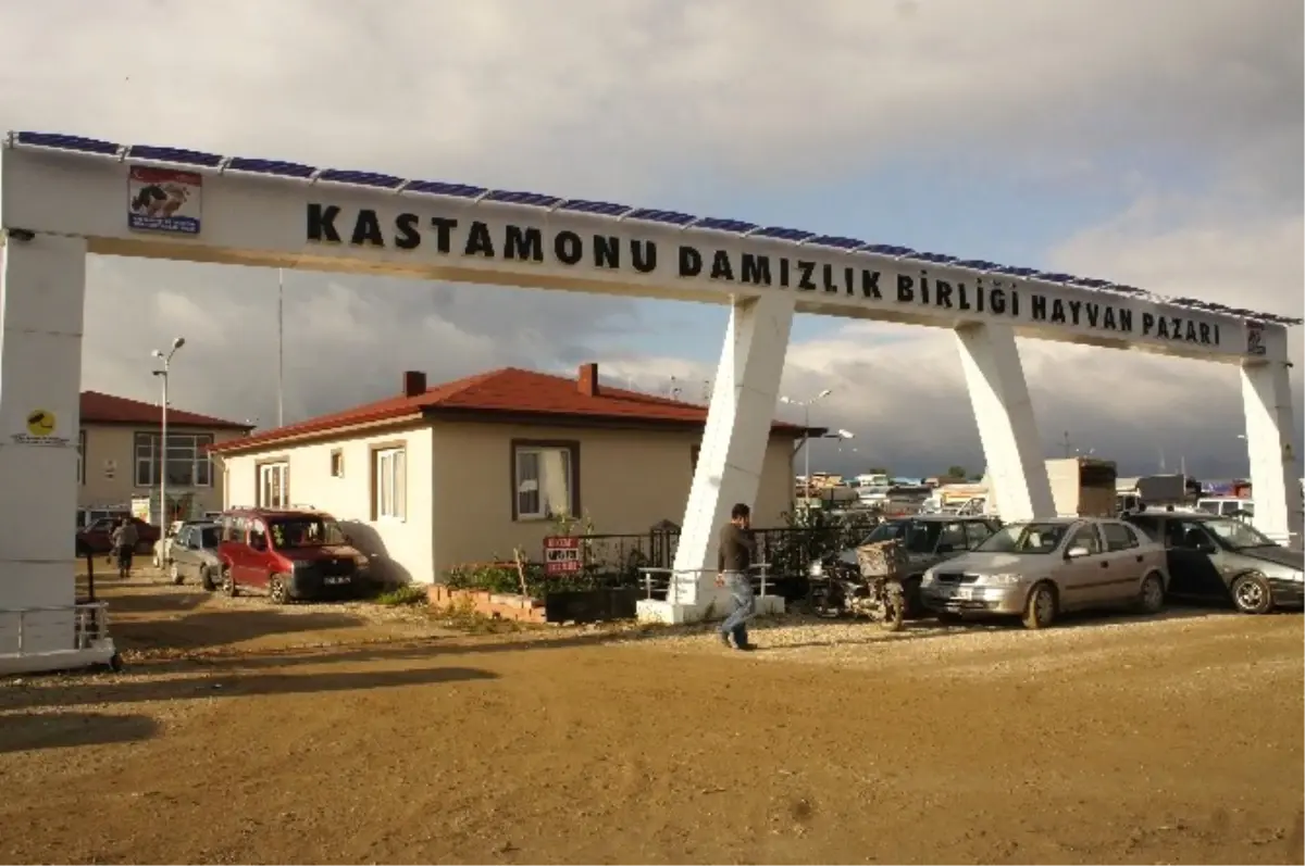 Kastamonu\'da Hayvan Pazarı Tekrar Kapatıldı