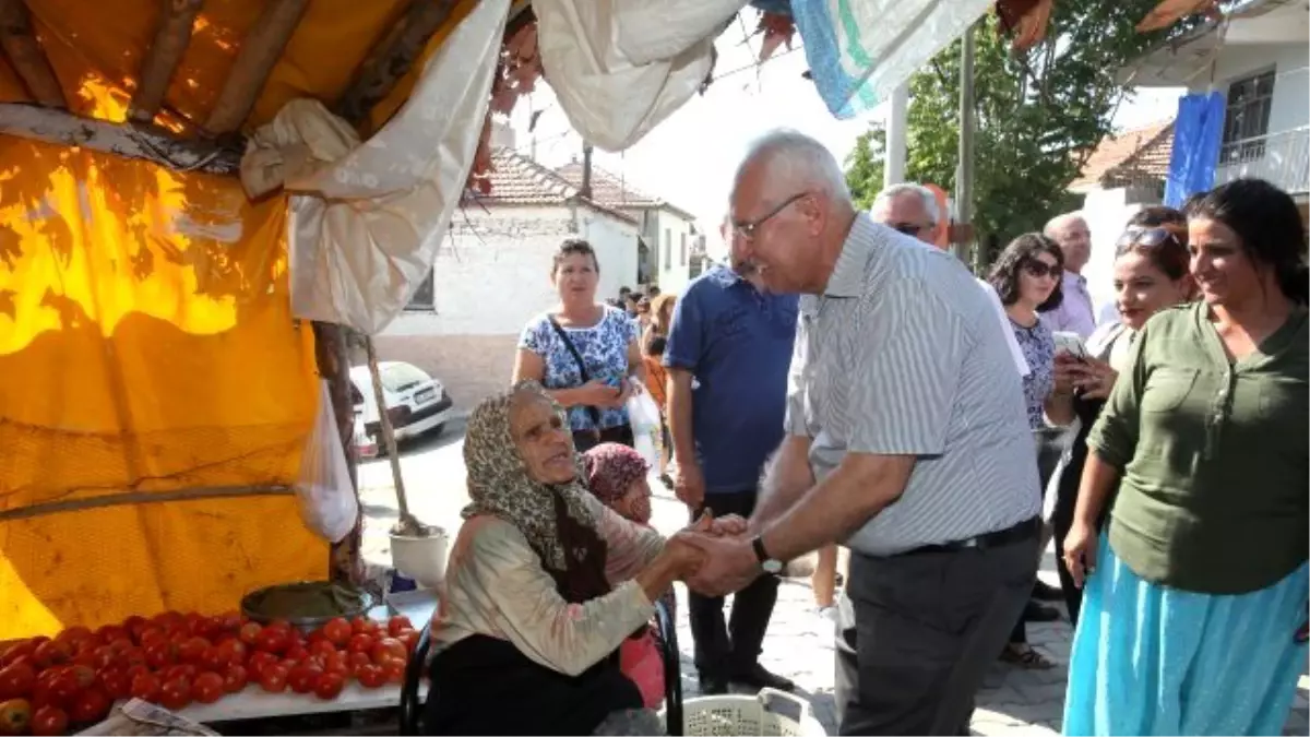 Kavacık Üzüm Festivali başlıyor