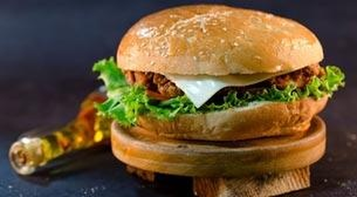 5 - 8 Yaş Artisan Burgerler