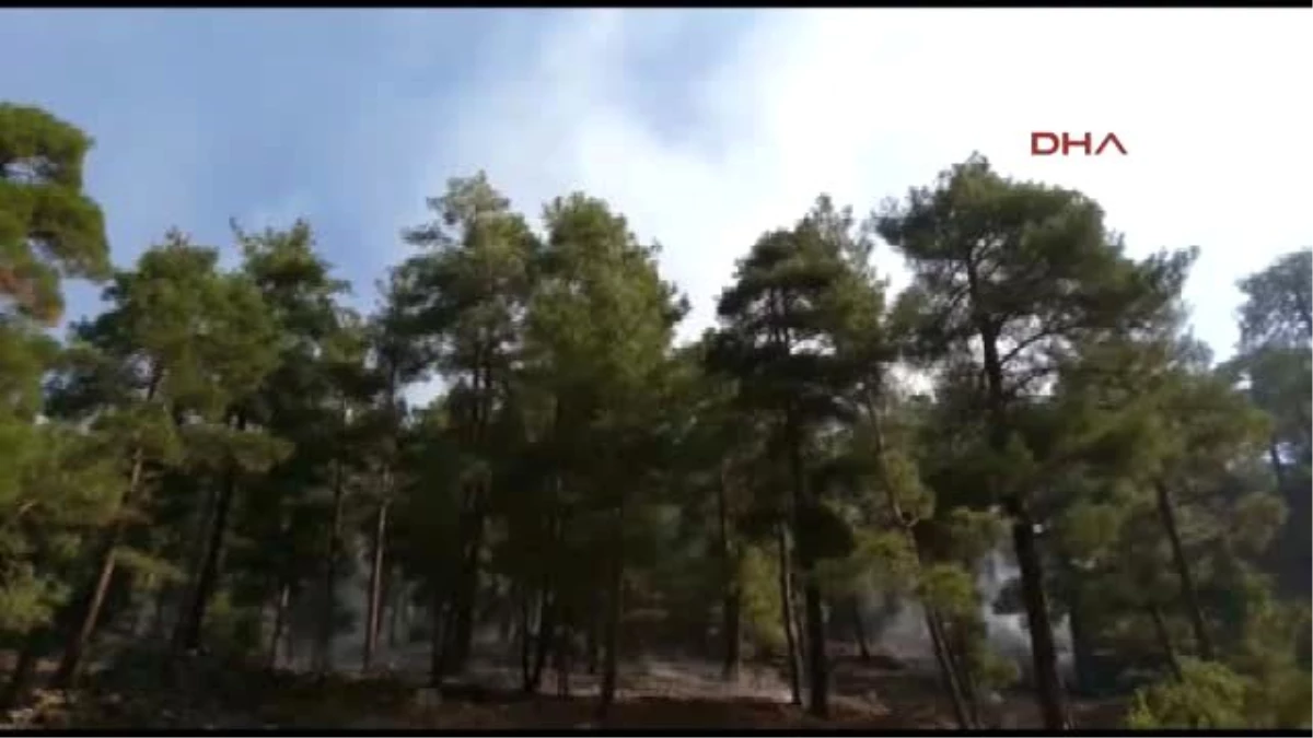 Adana\'daki Karaçam Ormanında Yangın Çıktı