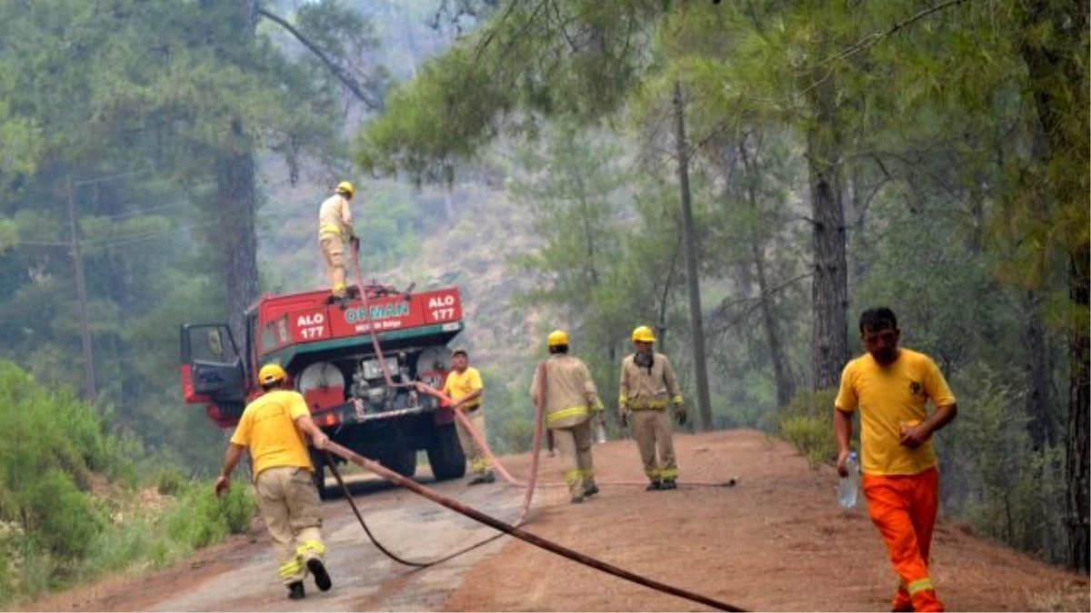 Mersin\'deki Orman Yangınları Kontrol Altına Alındı