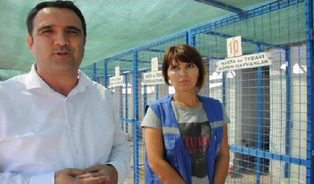 Barınaktaki Köpek Yavru Kediye Annelik Yaptı