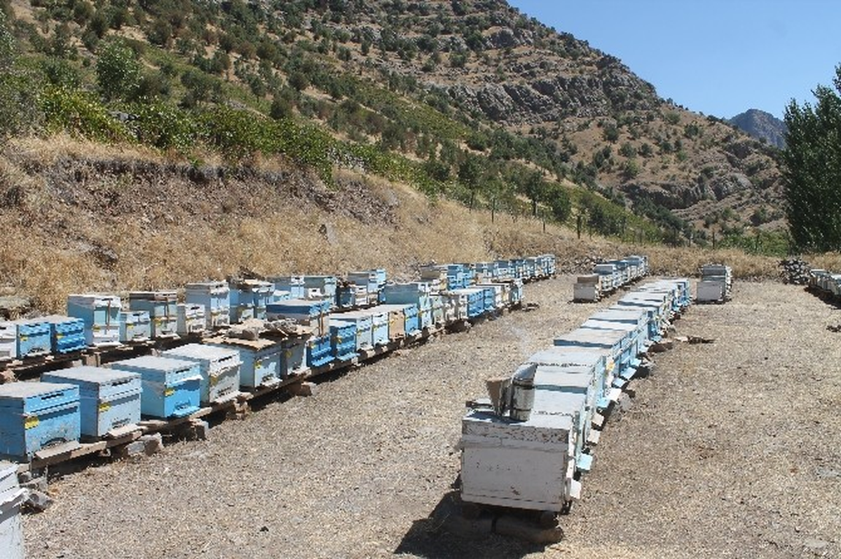 Beytüşşebaplı Arıcılar Kuş Nöbetinde