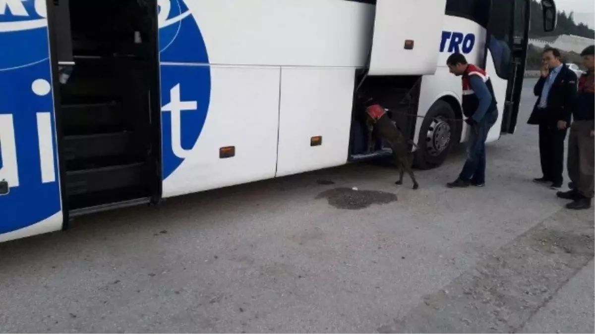 Bursa Jandarması Binlerce Aranan Suçluyu Yakaladı