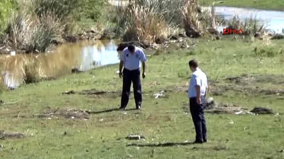 İslahiye\'de Kıyıya Vuran Balıklar Toplandı