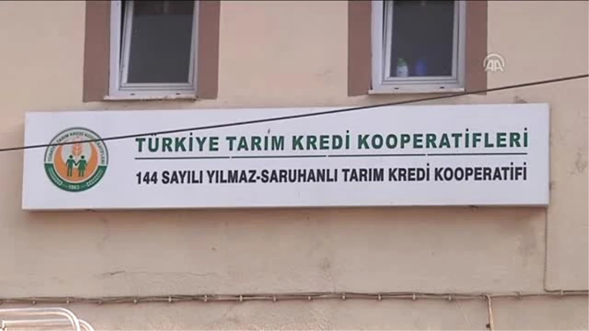 Üzüm Fiyatlarındaki Artış Üreticiyi Sevindirdi