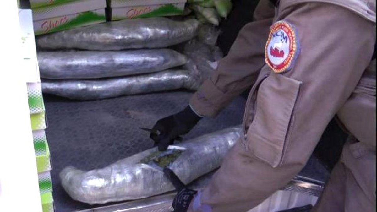 2 Yolcu Otobüsünde 11 Kilo 500 Gram Esrar Ele Geçirildi