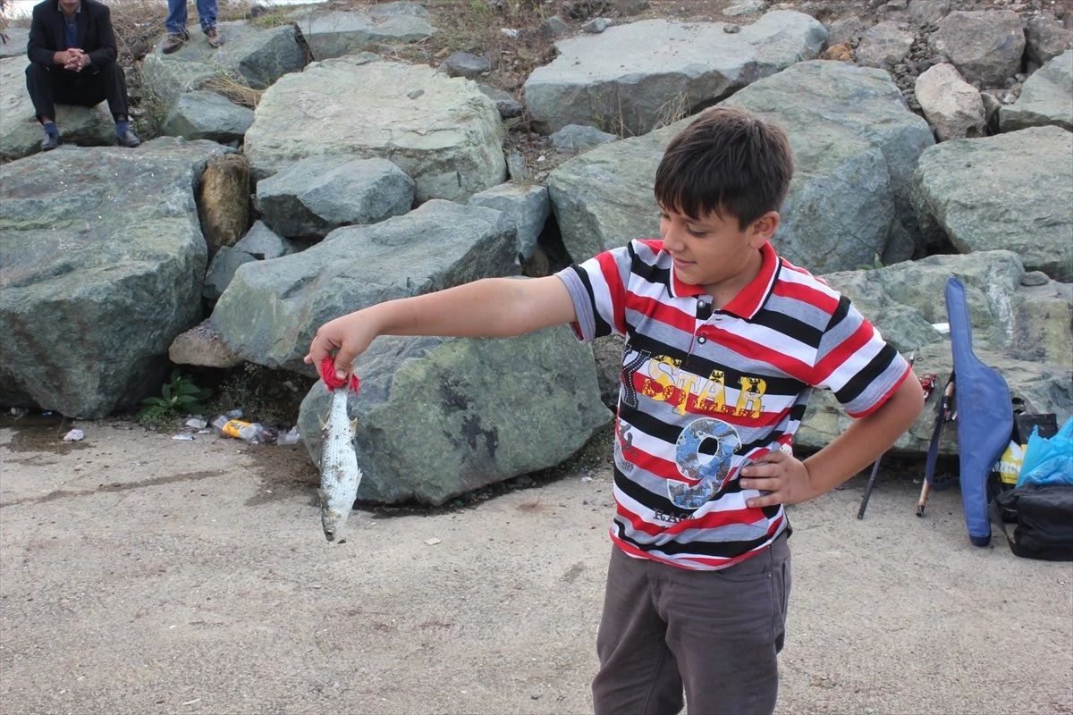 Afganlı Çocukların Balık Sevinci