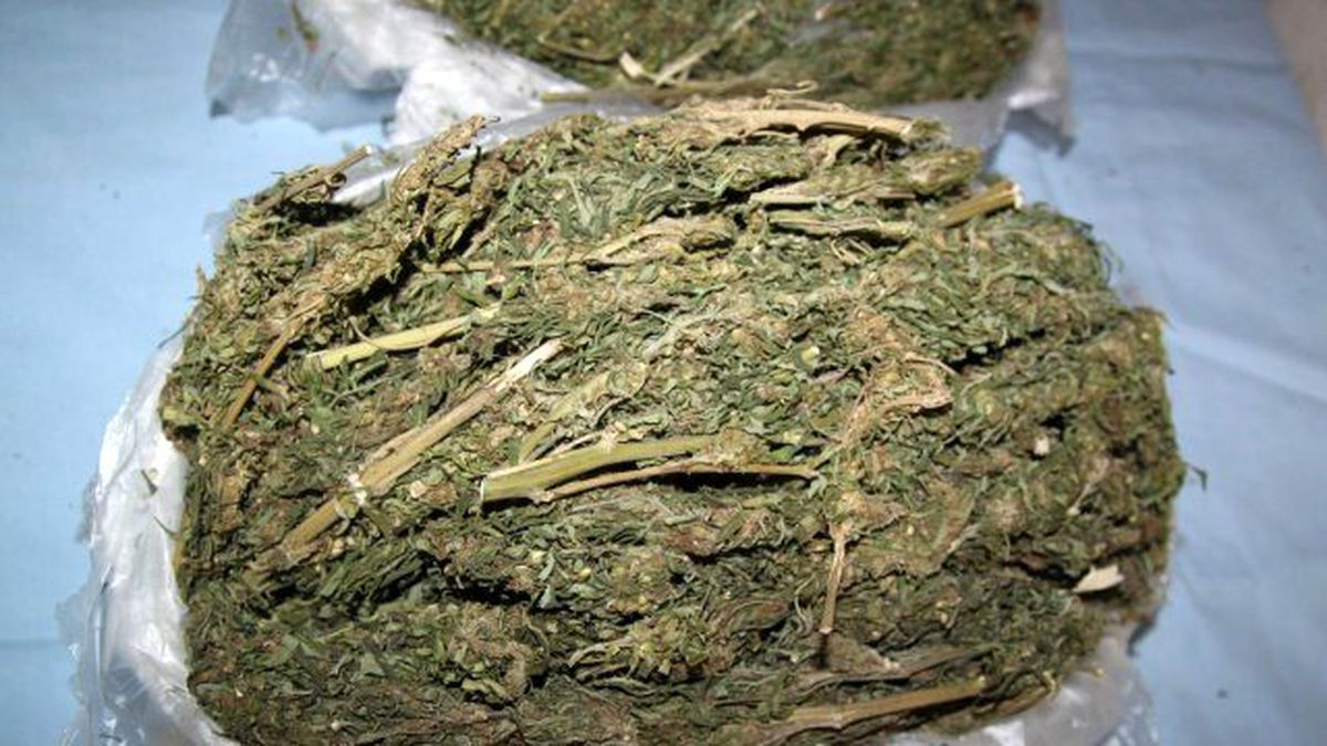 Bingöl\'de 714 Kilo 890 Gram Esrar Ele Geçirildi